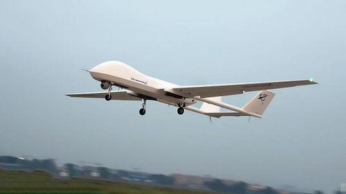 最新非洲雁爆料,非洲大陆最新动态与热点事件  第3张