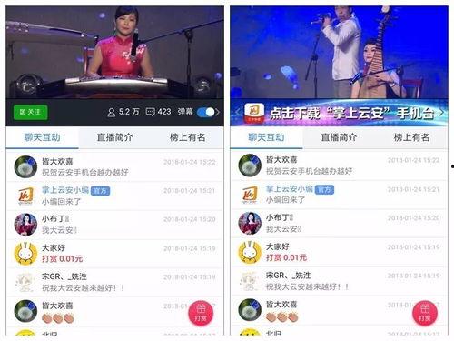 云安电视台爆料视频回放,爆料视频回放背后的惊人真相 第1张 云安电视台爆料视频回放,爆料视频回放背后的惊人真相 第1张